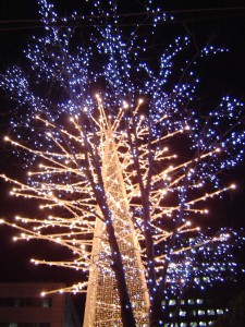 札幌大通公園の夜