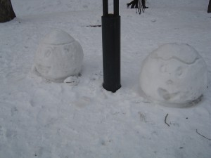 札幌市中央区大通公園