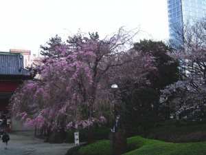 東京