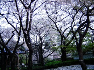 東京